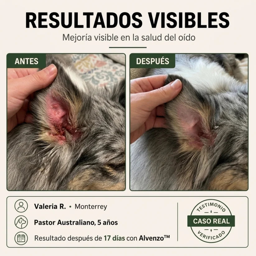 Alvenzo - Fórmula Veterinaria Natural para Eliminar Hongos en Perros