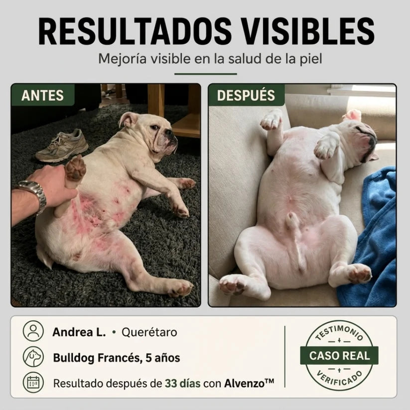 Alvenzo - Fórmula Veterinaria Natural para Eliminar Hongos en Perros