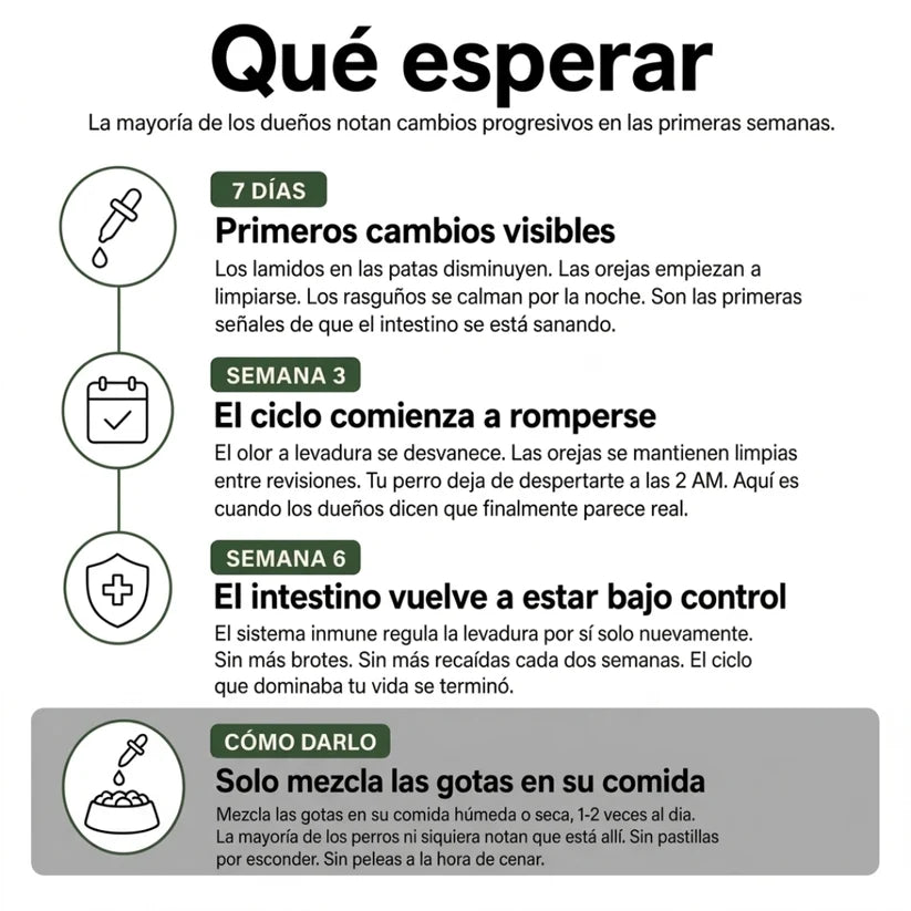 Alvenzo - Fórmula Veterinaria Natural para Eliminar Hongos en Perros