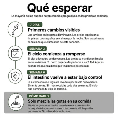 Alvenzo - Fórmula Veterinaria Natural para Eliminar Hongos en Perros